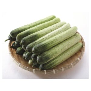 오늘만이가격 백오이 (5개)